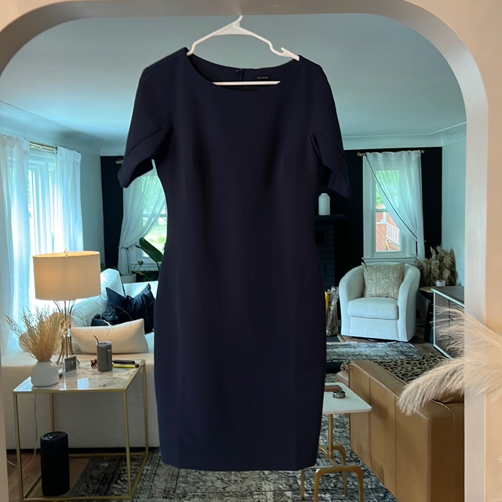 Ann Taylor Fitted Dress